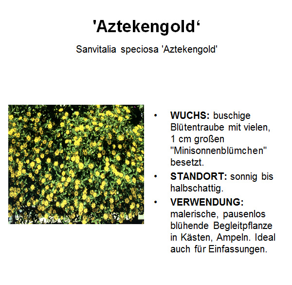 Aztekengold