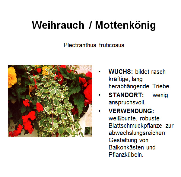 Weihrauch